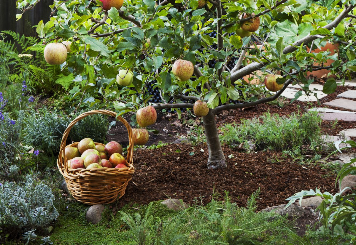 Источник фото: pinterest.com