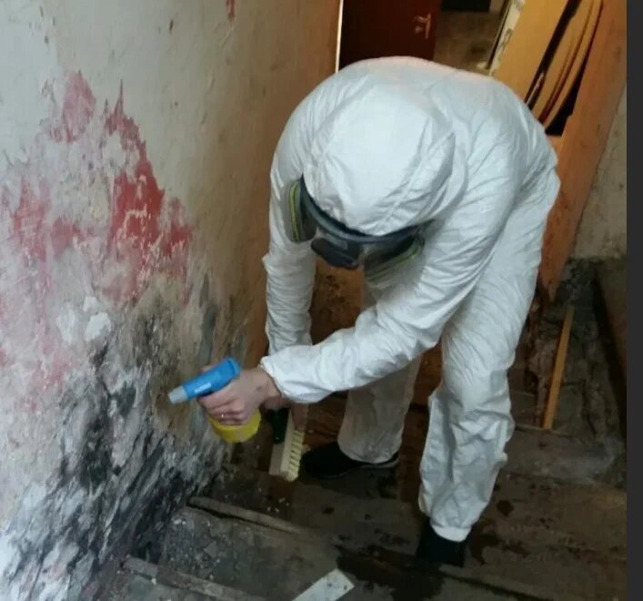 Удаление плесени