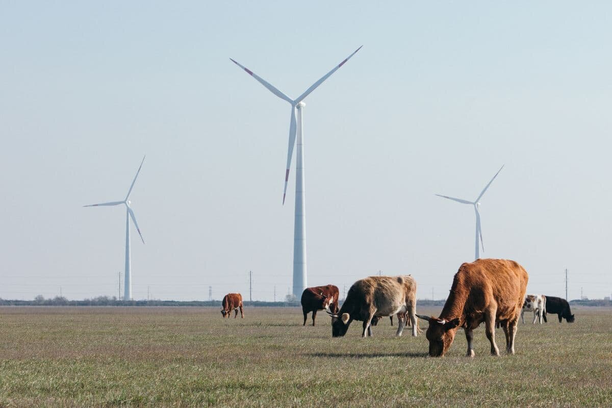   «Новолакская ВЭС “Росатома”»
