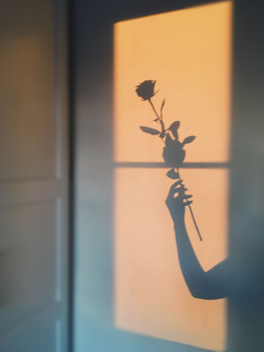 Фото из Интернета 