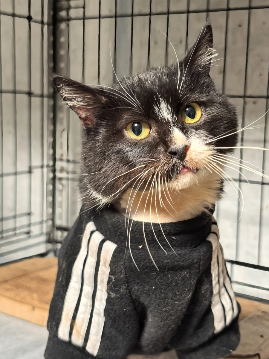 Самсон на фоне своих художеств. Фото из архива автора