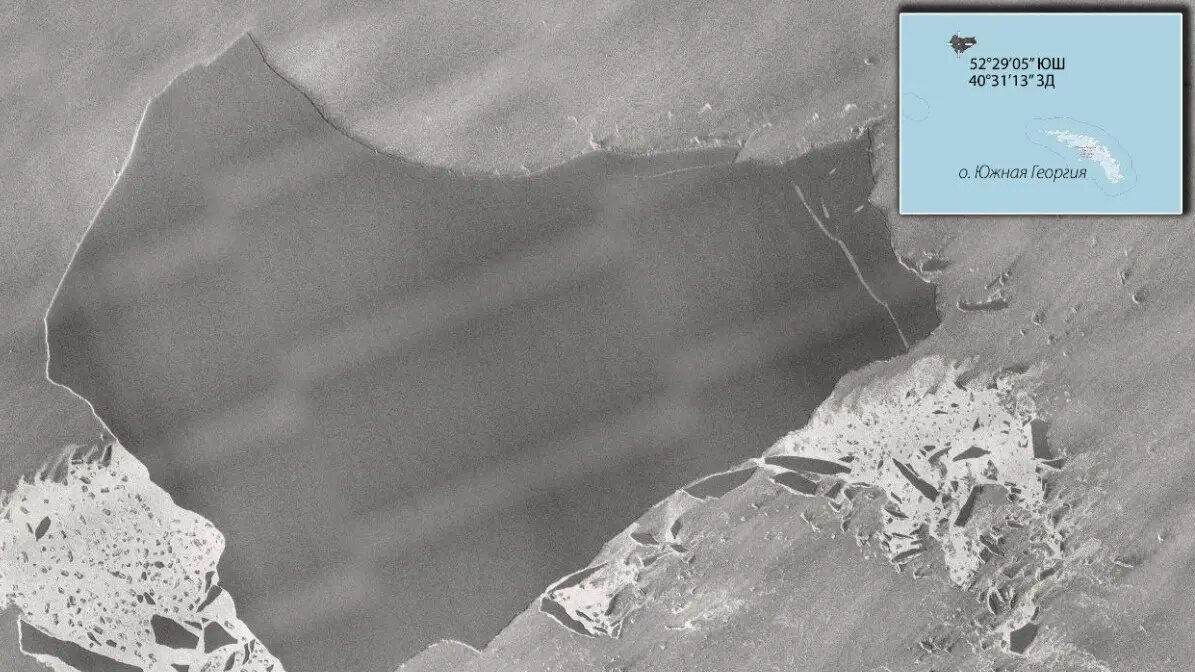    Фото: vm.ru Оливия Ильинская