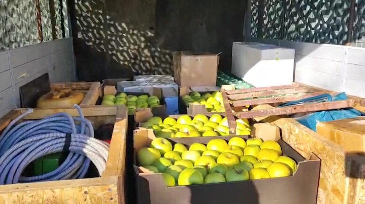    Фото: Telegram-канал «Шефская помощь»