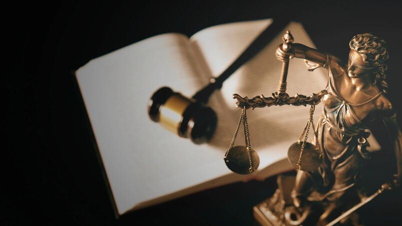    Фото: Proxima Studio/Shutterstock/Fotodom