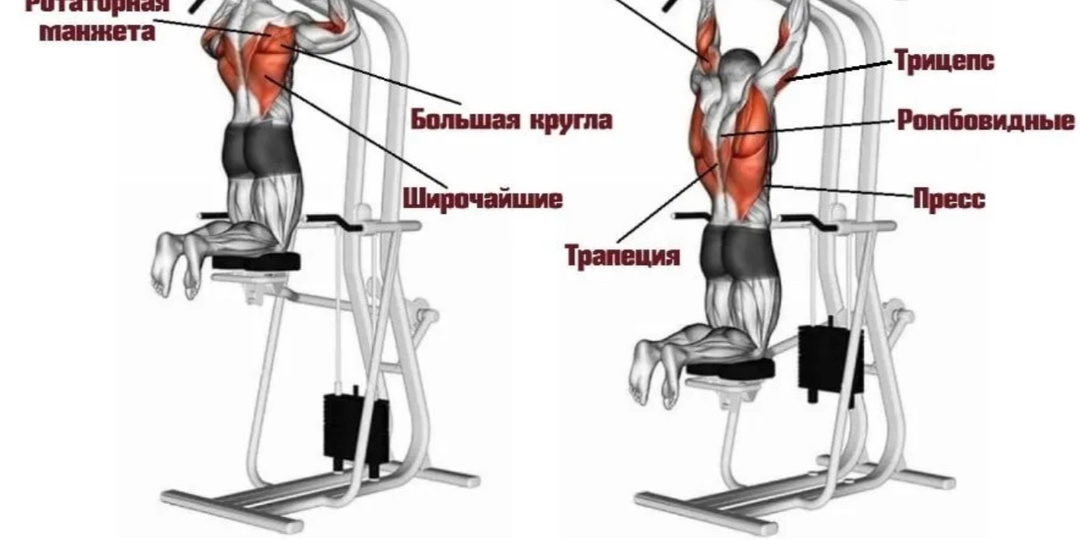 Гравитон: как один тренажёр может приблизить вас к телу мечты