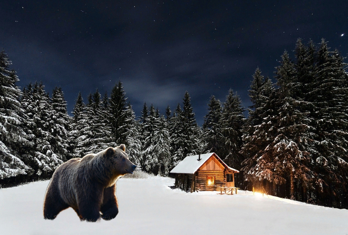 Медведь-шатун ночью ходит у таёжной избы.