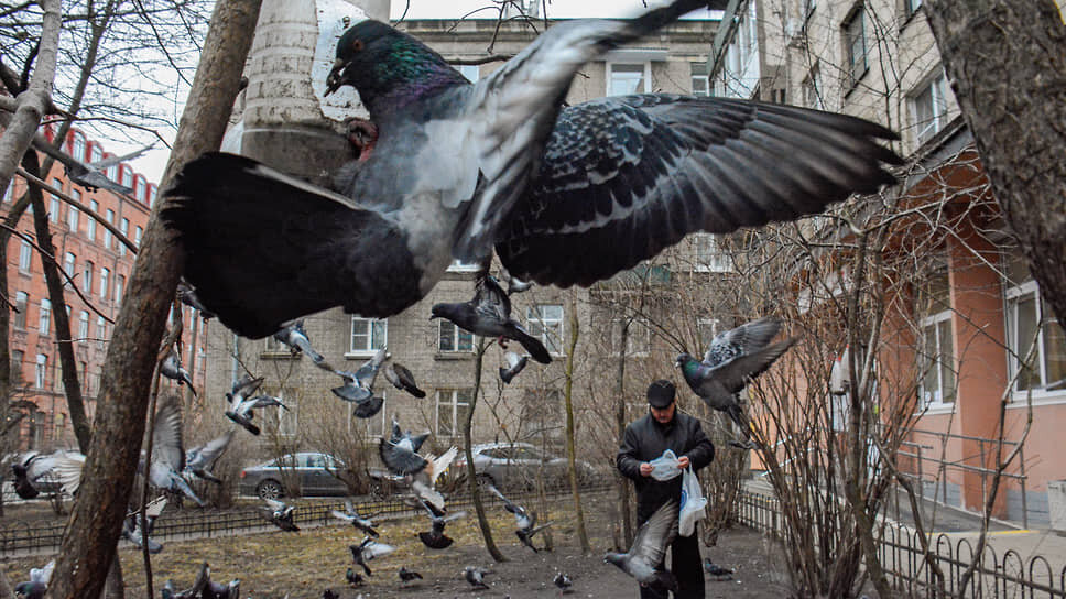 Фото: Марина Мамонтова / Коммерсантъ