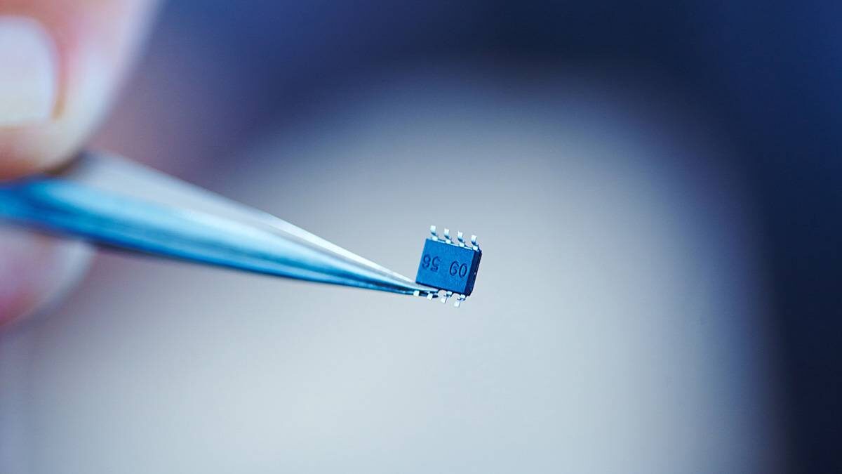    Фото: shutterstock