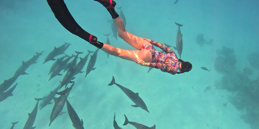 Навстречу мечте: плавание со свободными дельфинами в Египте