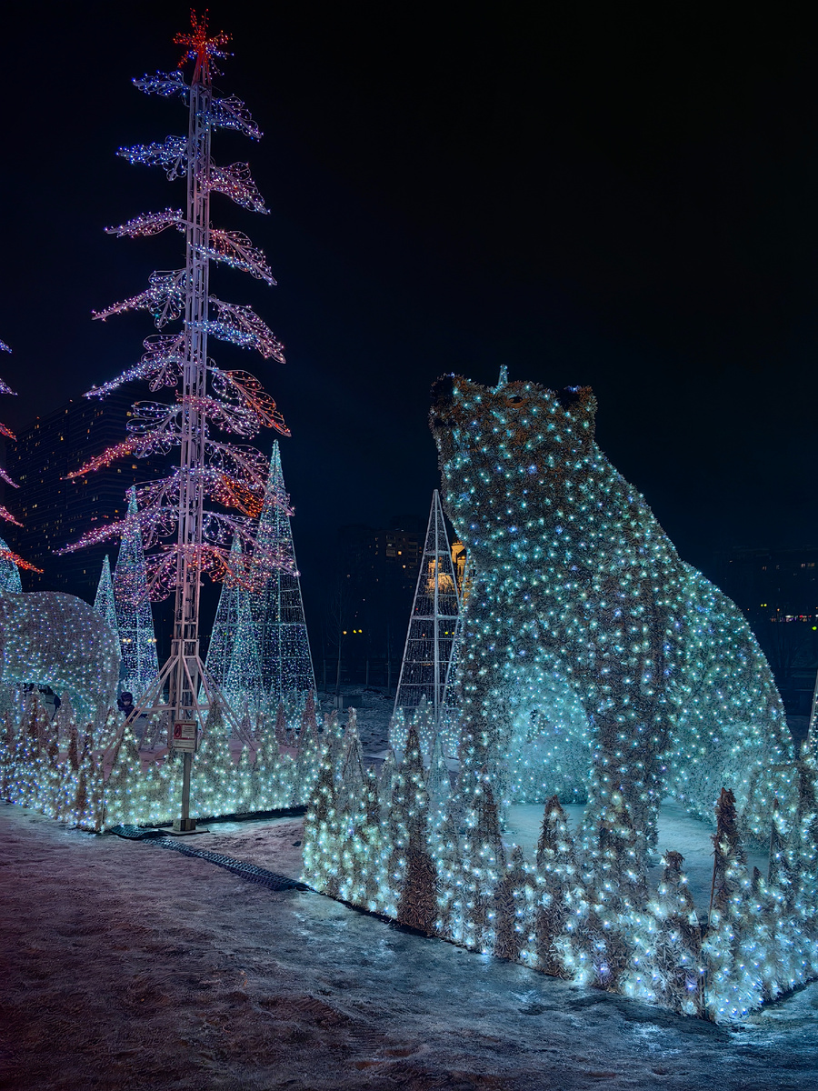 Полярные медведи у Акведука