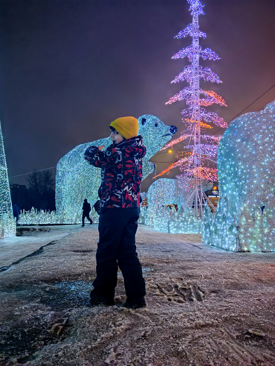 Белые медведи