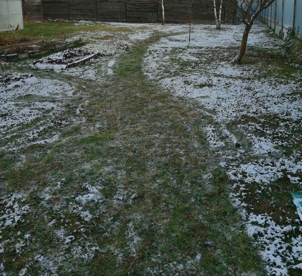 Дорожки на снегу хорошо видны. 