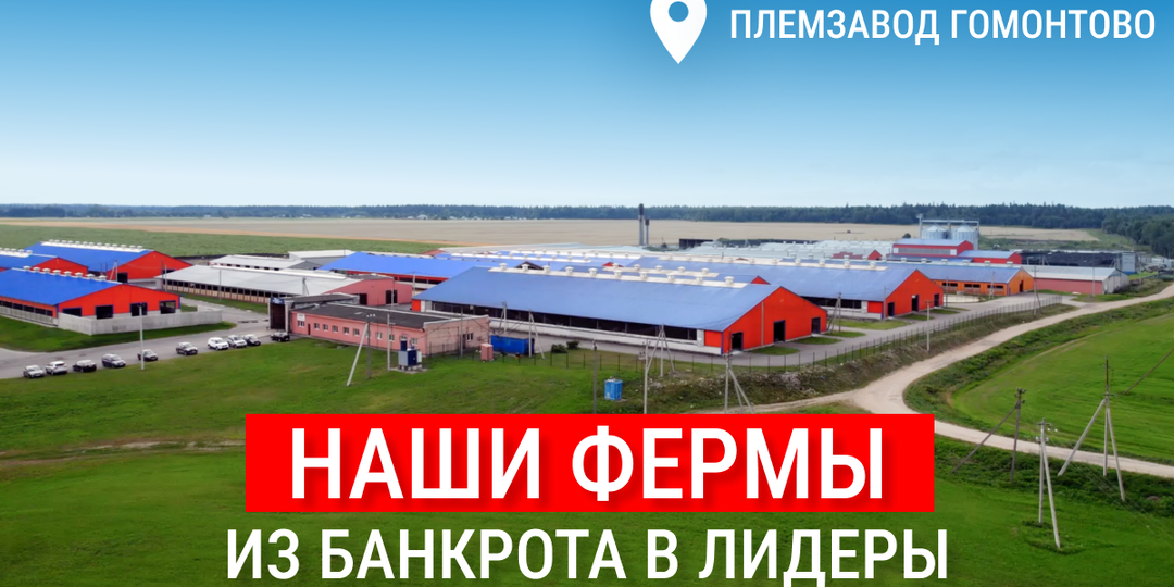 Как женская воля построила успешное хозяйство на руинах 90-х?