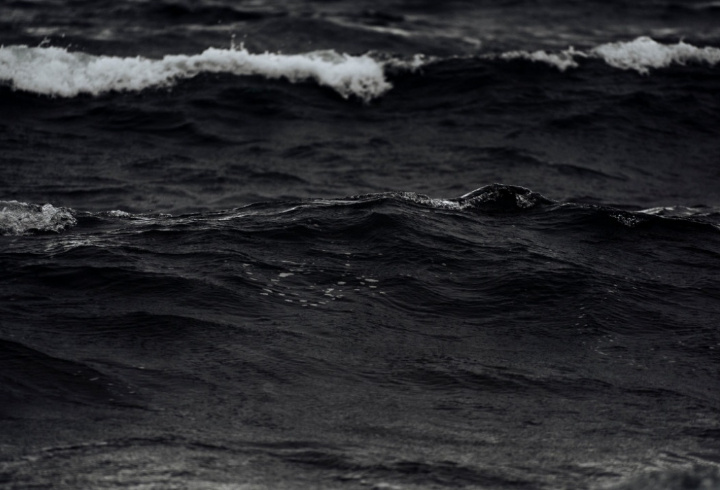 фото: pxhere.com