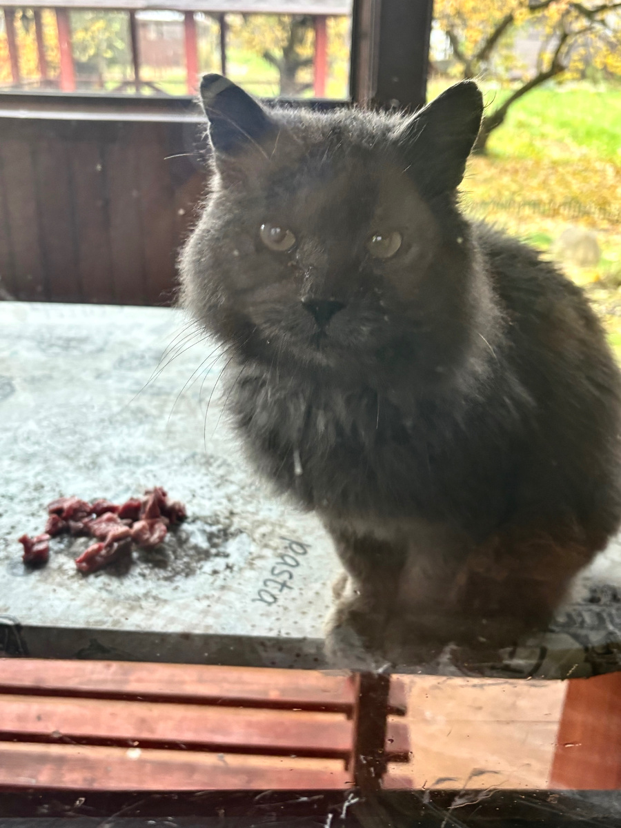 Больше не влезает, но я все равно никуда не уйду! Везде фото автора.