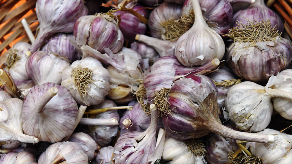 Фото: Дмитрий Духанин / Коммерсантъ