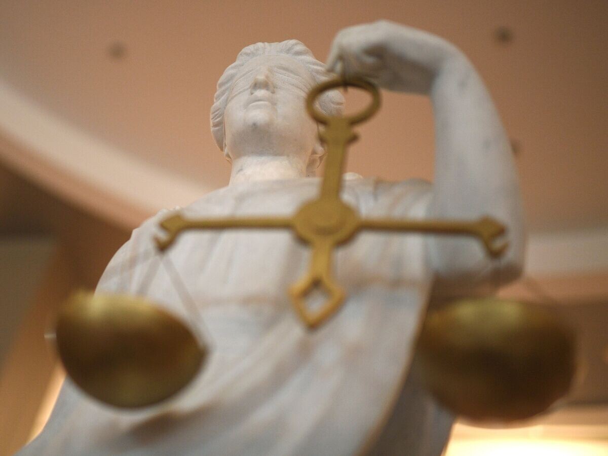    Статуя Фемиды в суде© РИА Новости / Владимир Астапкович