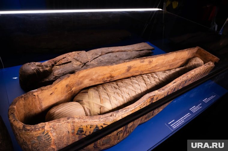     Власти Египта пытаются вернуть артефакты фараонов обратно на родину