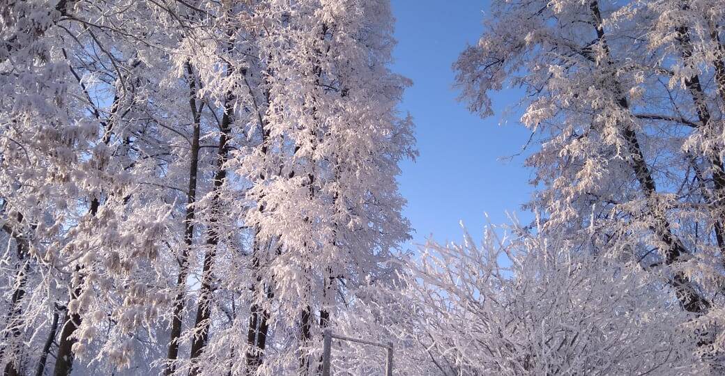 30 дел на зиму. Чтобы не проспать самое волшебное время года