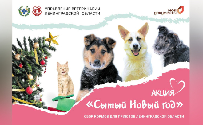    © Пресс-служба администрации Ленинградской области