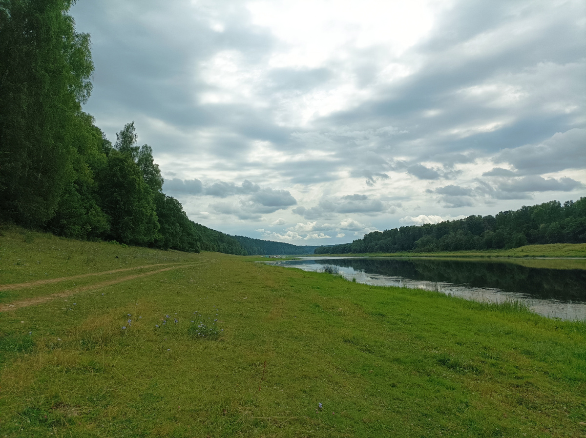 Участок с широким пологим берегом Волги