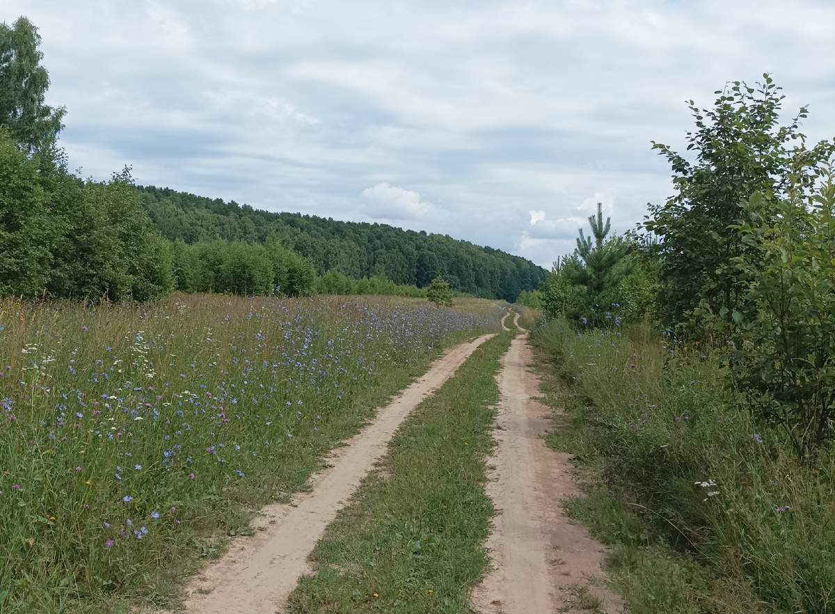 И грунтовка чуть в стороне от берега