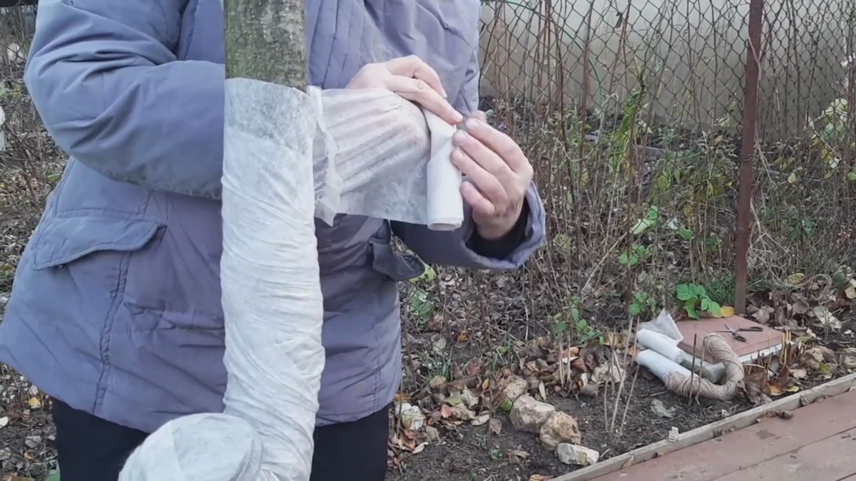 Можно обмотать стволы использованным спанбондом.