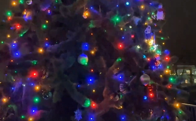    © Заневское городское поселение