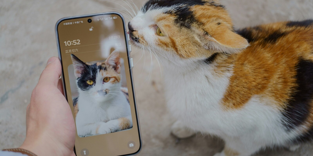 Не чистите разъем зарядки зубочисткой. Как безопасно убрать пыль и не сломать контакты