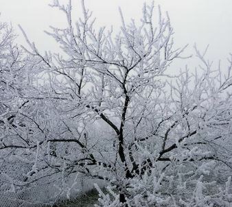 Фото 1, 2 из откртых источников