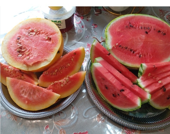 Арбузы, фото автора.
