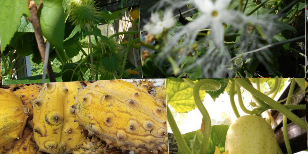 Моя история, чем и почему я начала заниматься после ухода на пенсию. 🙋