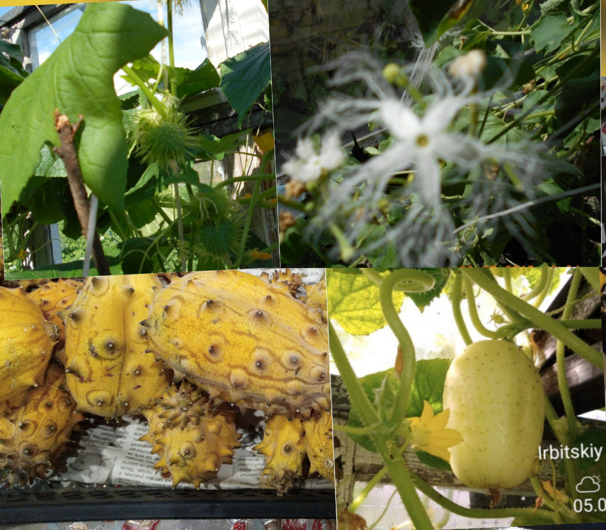 Фото автора.