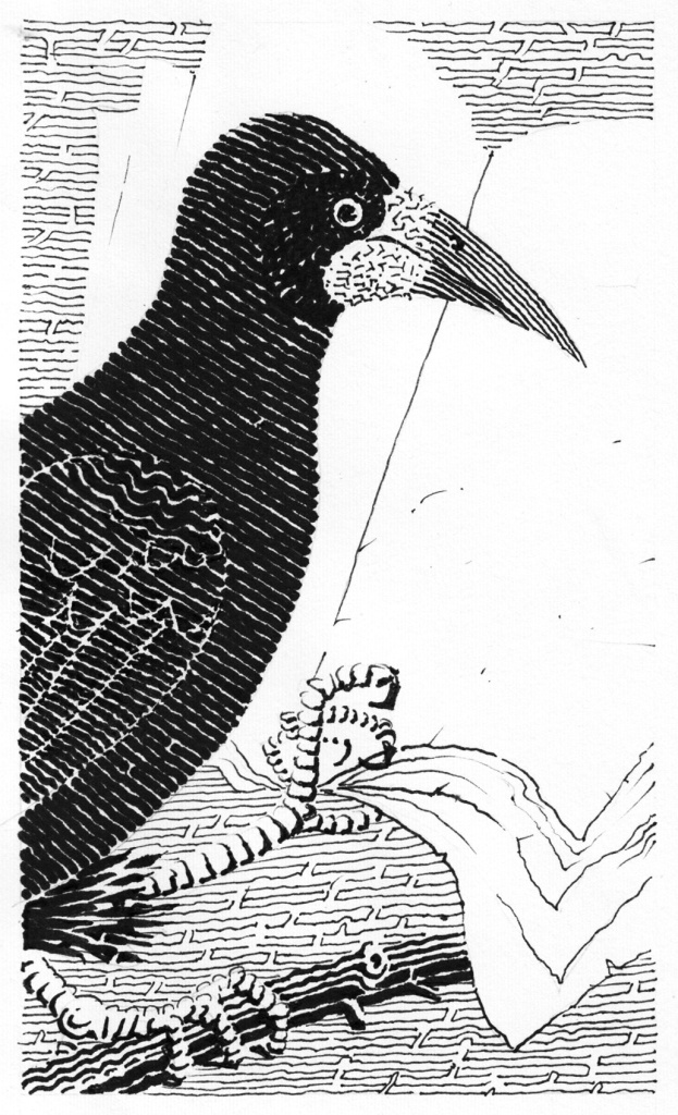 Иллюстрация Петра Перевезенцева