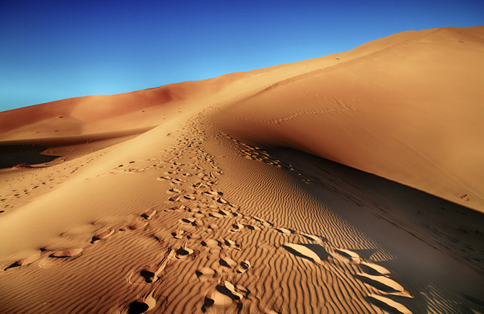    Ingram Publishing/Фотобанк Лори