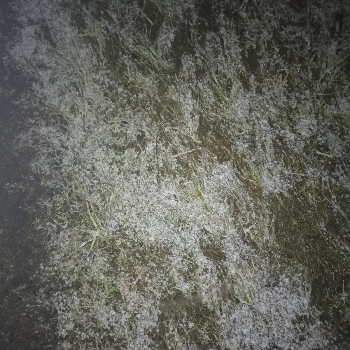 Как то так, немного нападало снежку. 