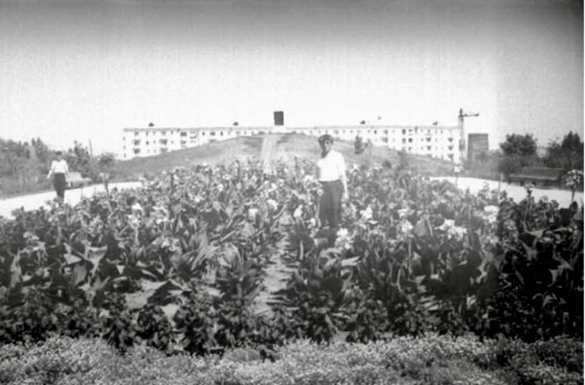 Курган на месте кинотеатра «Аврора». Источник фото: public domain/ Publiс domain