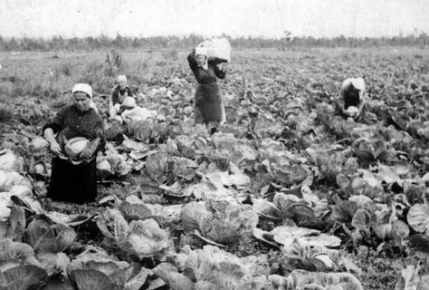 Яндекс картинки