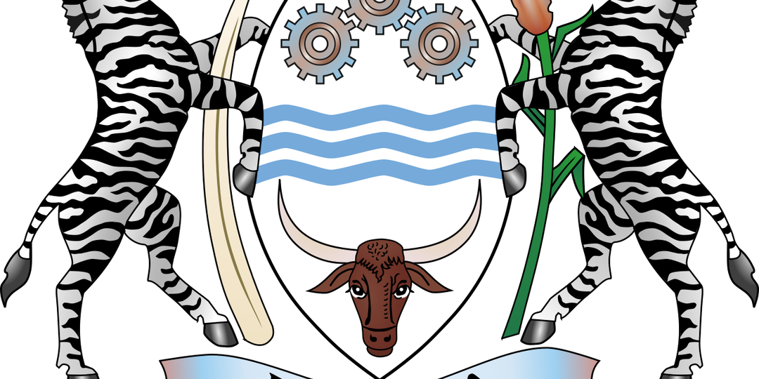 И не заметила, как превратилась в зебу