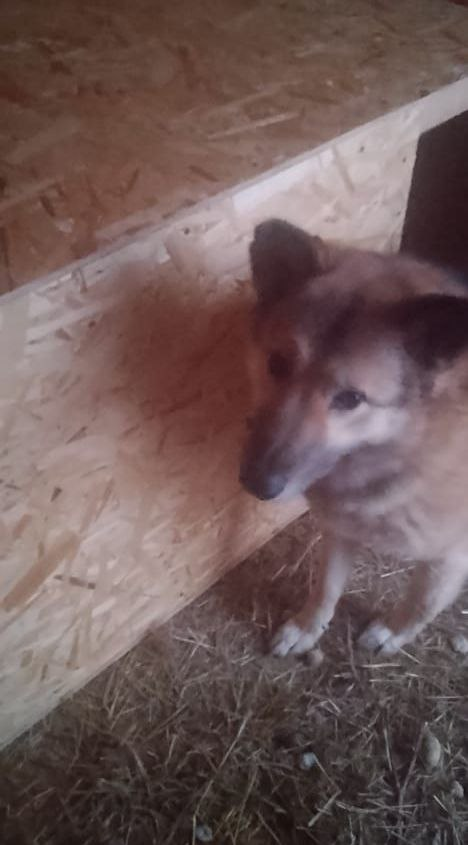 Верочка теперь с будкой💕