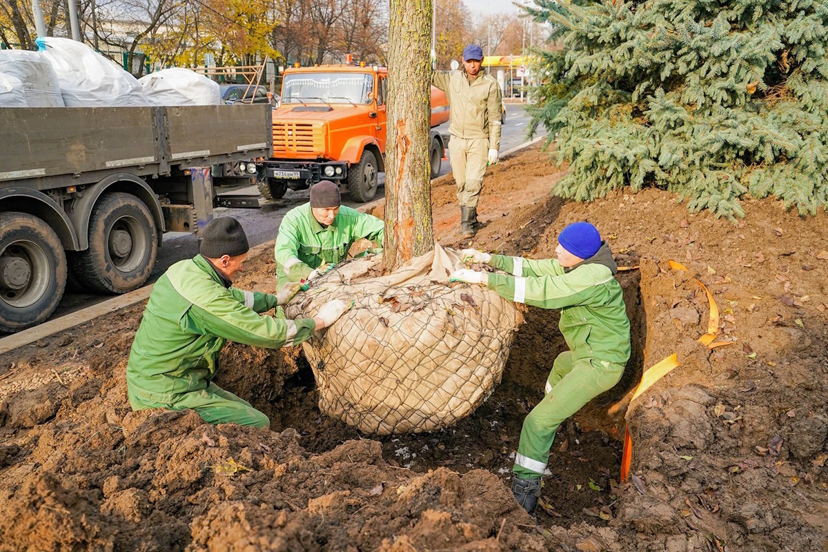    Фото: правительство Москвы, источник: mos.ru