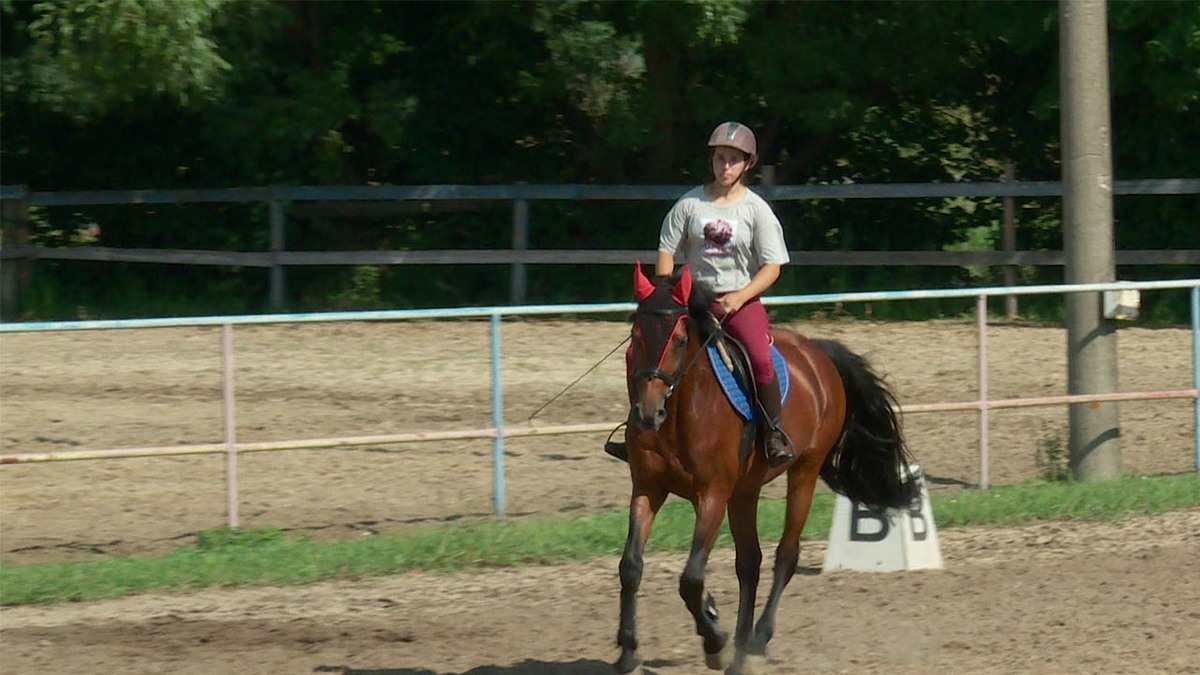 ЛОшадь в работе