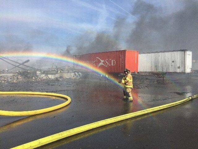 50 фото, подборка смешных забавных фотографий