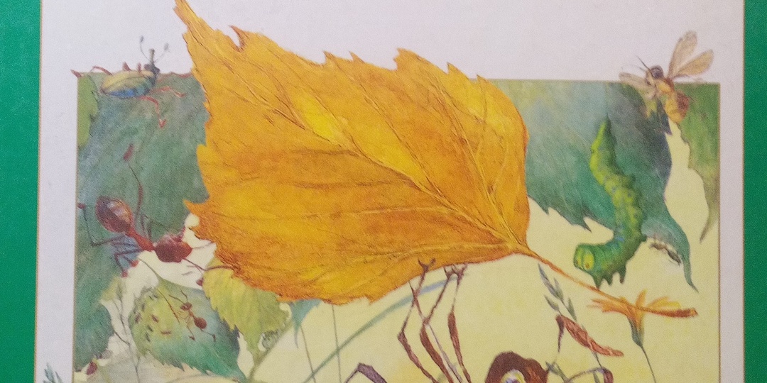 Отзыв на сказку В. Бианки "Как Муравьишка домой спешил".