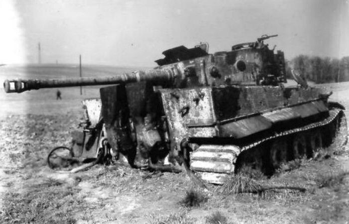 Тигр оказался просто не нужен.