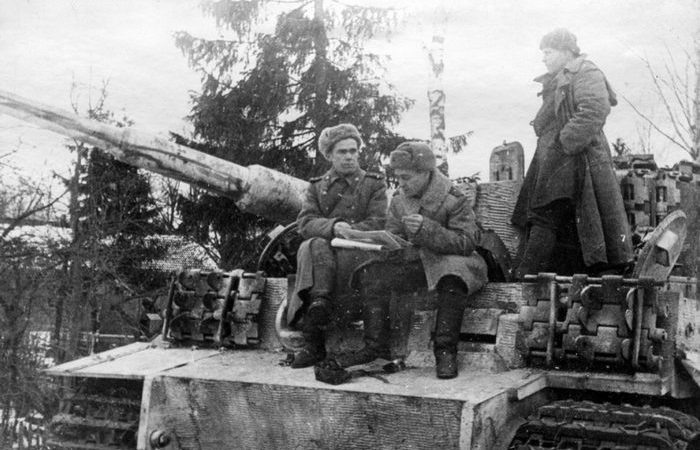 У Тигра были как достоинства, так и недостатки.