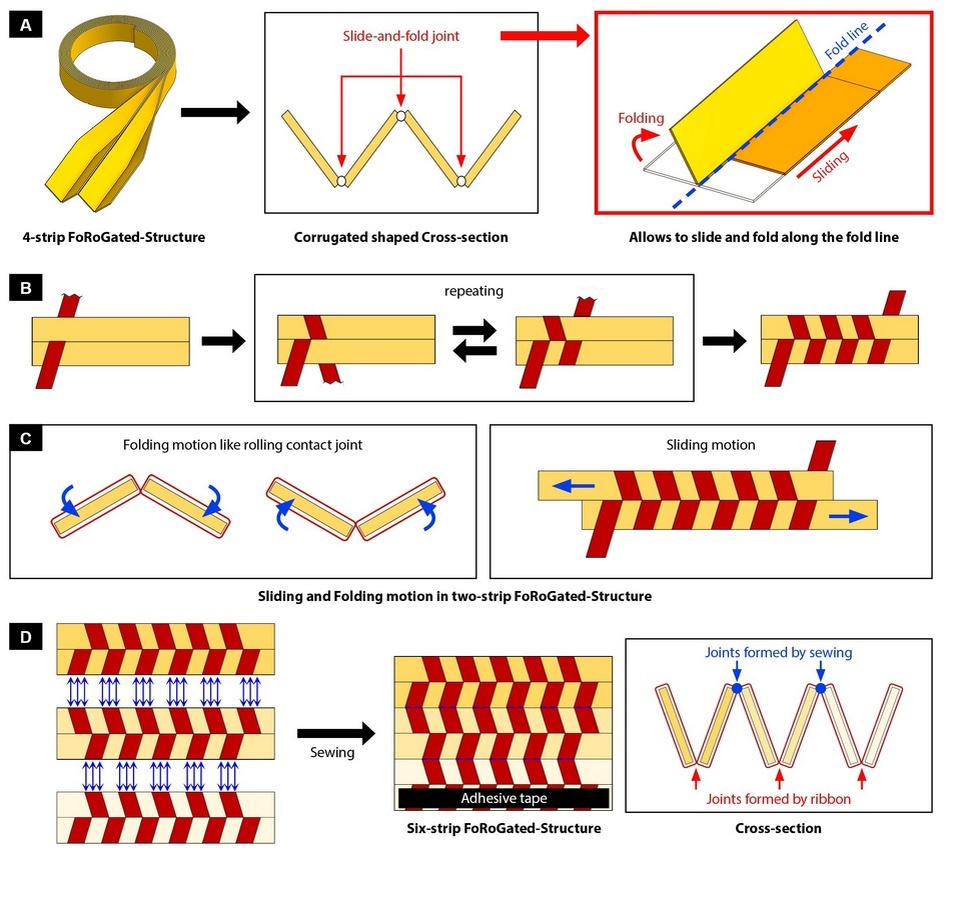   Sun-Pill Jung et al. / Science Robotics, 2025