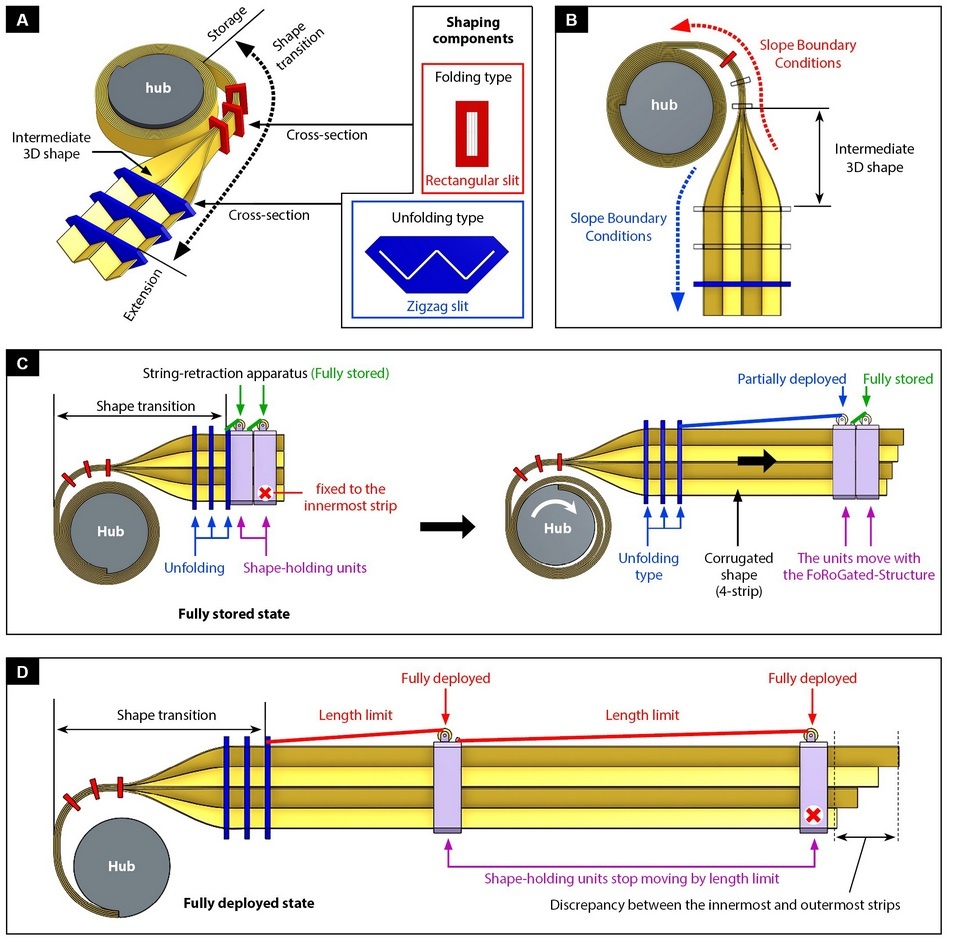   Sun-Pill Jung et al. / Science Robotics, 2025
