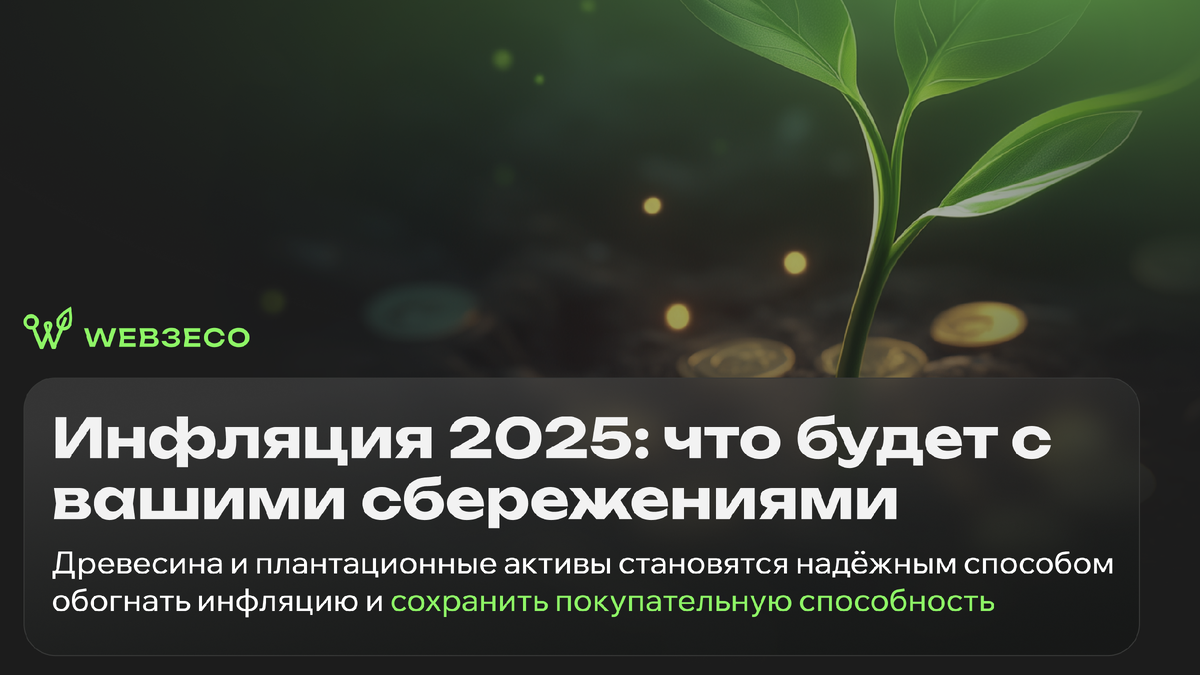 Инфляция 2025: что будет с вашими сбережениями. Древесина и плантационные активы становятся надёжным способом обогнать инфляцию и сохранить покупательную способность