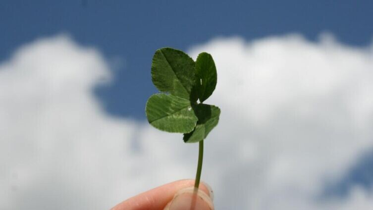    Что лишает нас удачи? Фото: Barbara Krysztofiak on Unsplash